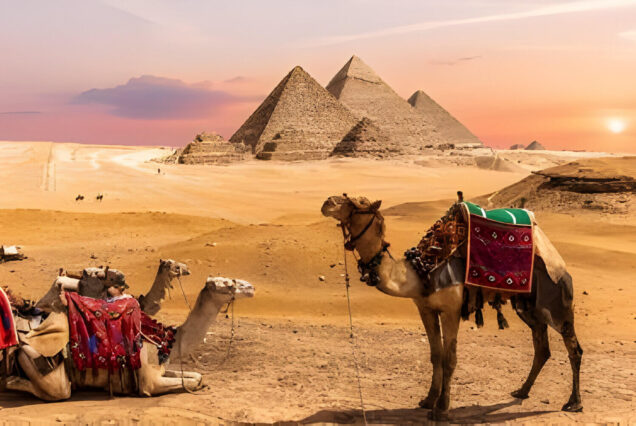 El Gouna: Tagestour nach Kairo und Gizeh mit Mini Bus