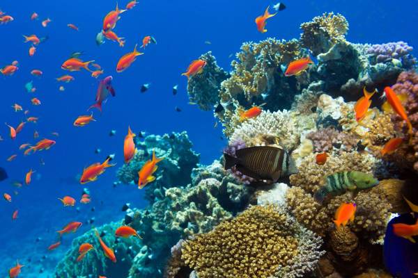 El Gouna Ausflüge Erfahrungen